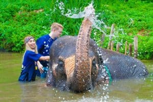 bañarse con un elefante en Chiang Mai