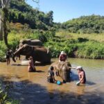 Baño con elefantes en Chiang Mai